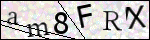Human Confirmation Code (Captcha)
