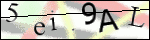 Human Confirmation Code (Captcha)
