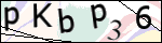 Human Confirmation Code (Captcha)