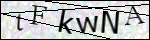 Human Confirmation Code (Captcha)