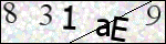 Human Confirmation Code (Captcha)