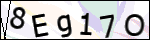 Human Confirmation Code (Captcha)