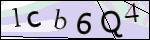 Human Confirmation Code (Captcha)