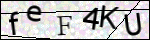 Human Confirmation Code (Captcha)