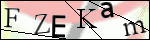 Human Confirmation Code (Captcha)