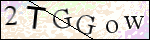 Human Confirmation Code (Captcha)