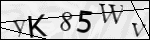 Human Confirmation Code (Captcha)