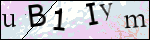 Human Confirmation Code (Captcha)