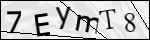 Human Confirmation Code (Captcha)