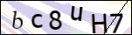 Human Confirmation Code (Captcha)