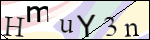 Human Confirmation Code (Captcha)