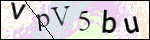 Human Confirmation Code (Captcha)