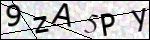 Human Confirmation Code (Captcha)