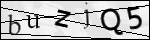 Human Confirmation Code (Captcha)