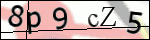 Human Confirmation Code (Captcha)