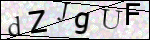 Human Confirmation Code (Captcha)