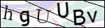Human Confirmation Code (Captcha)