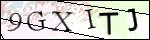 Human Confirmation Code (Captcha)