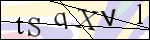 Human Confirmation Code (Captcha)
