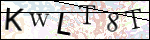 Human Confirmation Code (Captcha)