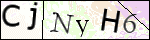 Human Confirmation Code (Captcha)