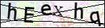 Human Confirmation Code (Captcha)