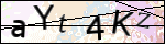 Human Confirmation Code (Captcha)