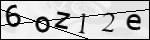 Human Confirmation Code (Captcha)