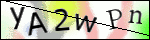 Human Confirmation Code (Captcha)
