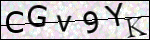Human Confirmation Code (Captcha)