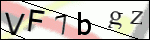 Human Confirmation Code (Captcha)