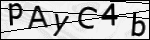 Human Confirmation Code (Captcha)