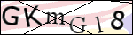 Human Confirmation Code (Captcha)