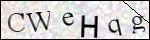 Human Confirmation Code (Captcha)