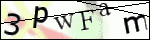 Human Confirmation Code (Captcha)