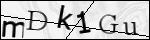 Human Confirmation Code (Captcha)