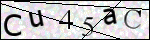 Human Confirmation Code (Captcha)