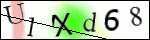Human Confirmation Code (Captcha)
