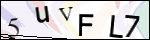 Human Confirmation Code (Captcha)