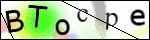 Human Confirmation Code (Captcha)