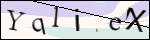 Human Confirmation Code (Captcha)