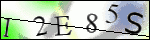 Human Confirmation Code (Captcha)