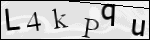 Human Confirmation Code (Captcha)