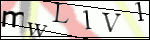 Human Confirmation Code (Captcha)