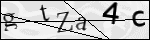 Human Confirmation Code (Captcha)
