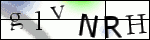 Human Confirmation Code (Captcha)