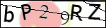 Human Confirmation Code (Captcha)