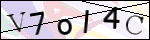 Human Confirmation Code (Captcha)