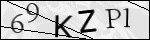 Human Confirmation Code (Captcha)
