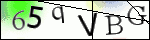 Human Confirmation Code (Captcha)